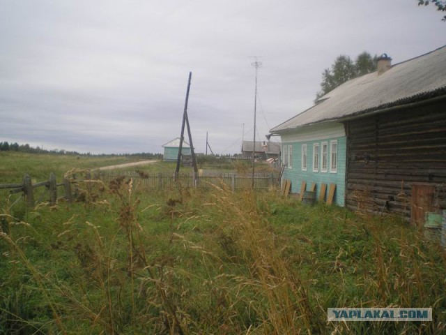 Утро в деревне