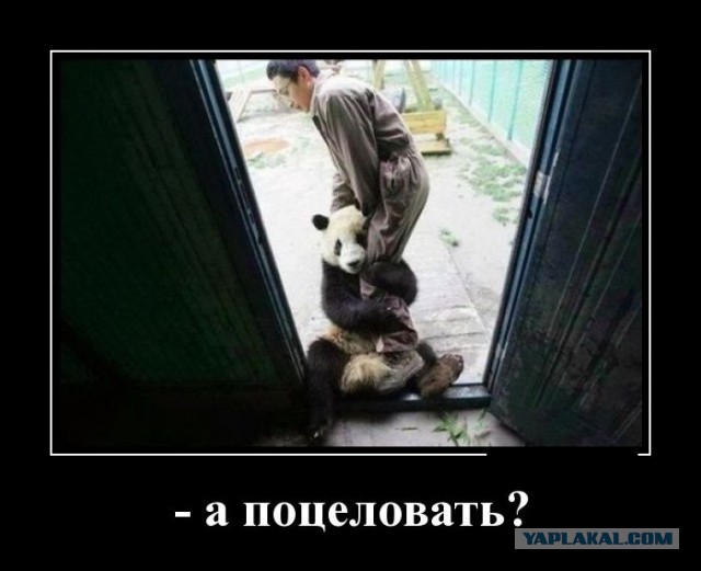 Картинки разные