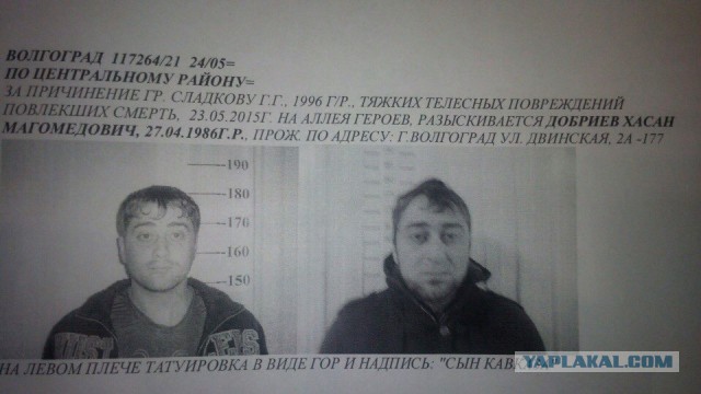 В Волгограде студент умер после драки