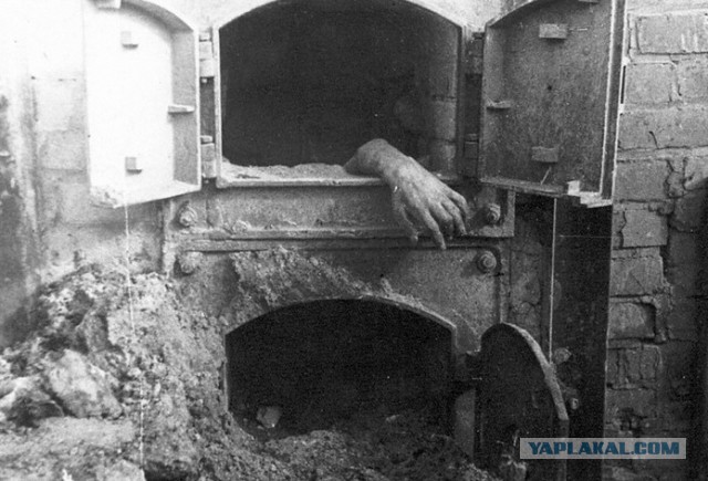 Подборка редких фотографий со всего мира