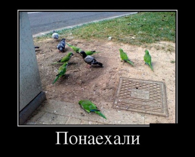 Мюнхен оказался на грани коллапса из-за беженцев