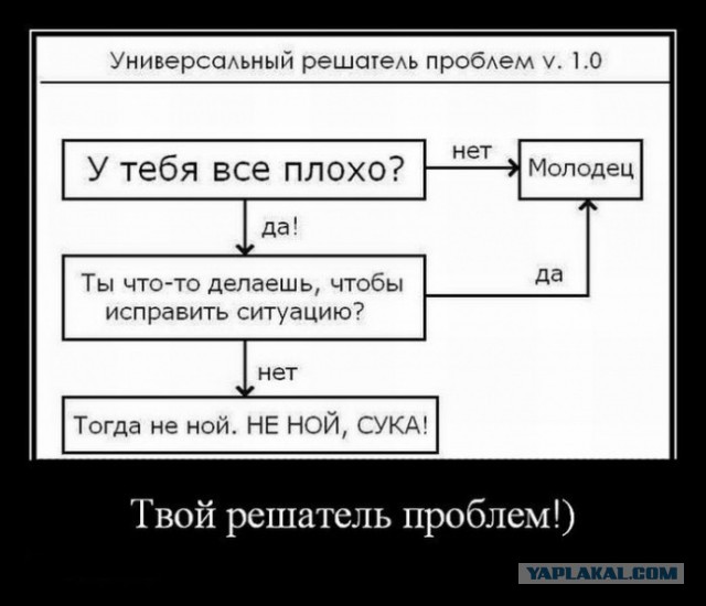 Пропаганда и разложение морали