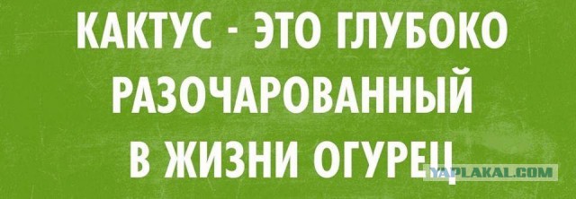 Картинки на пятницу