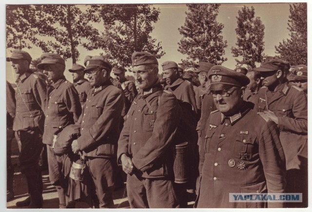 Завалили трупами