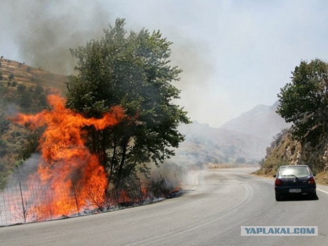 Фото сделанные в нужный момент
