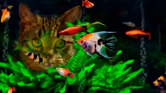 Подборка интересных и веселых фото