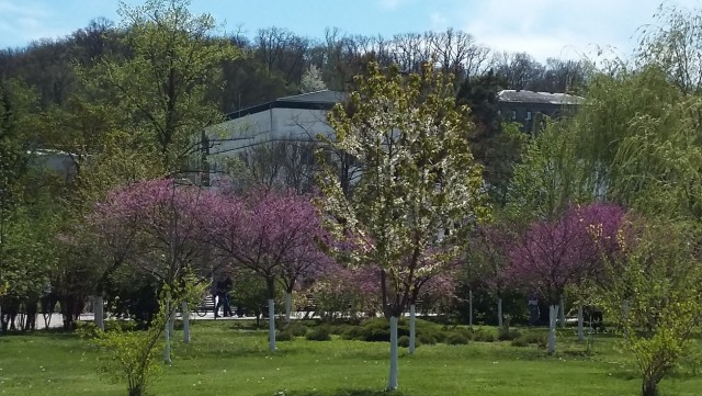 Саратов-Крым-Анапа