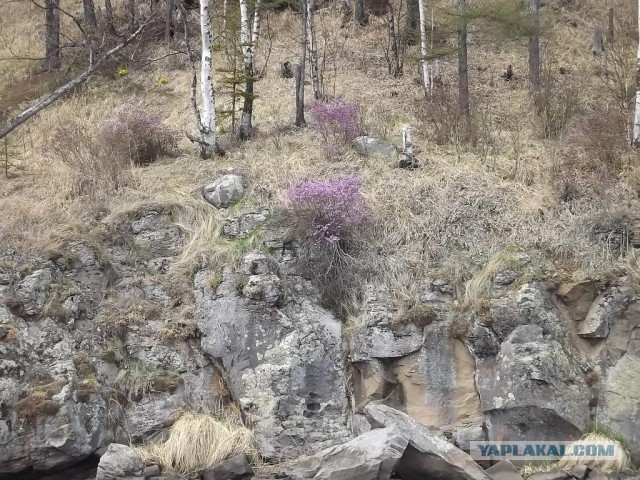 Советская Гавань. Побережье Татарского пролива - конец материка