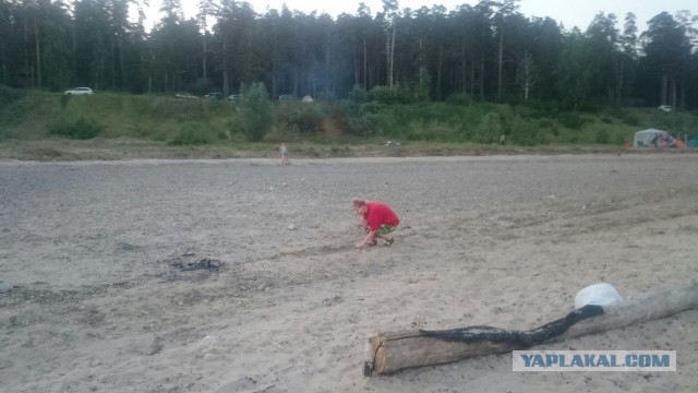 Куча битого стекла на центральном пляже Академгородка. Новосибирск.