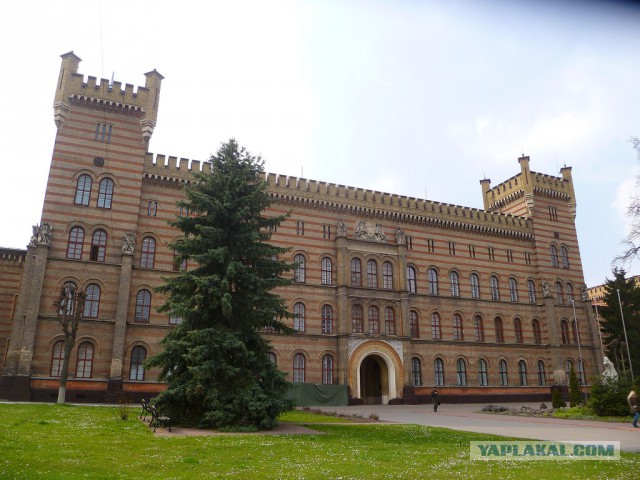 Украина, Донбасс, Крым. Я узнал правду
