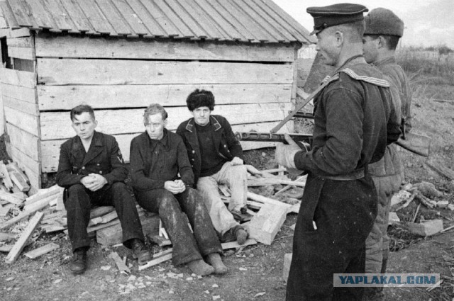 Крым и Севастополь 1941-1944 гг. Часть 1.