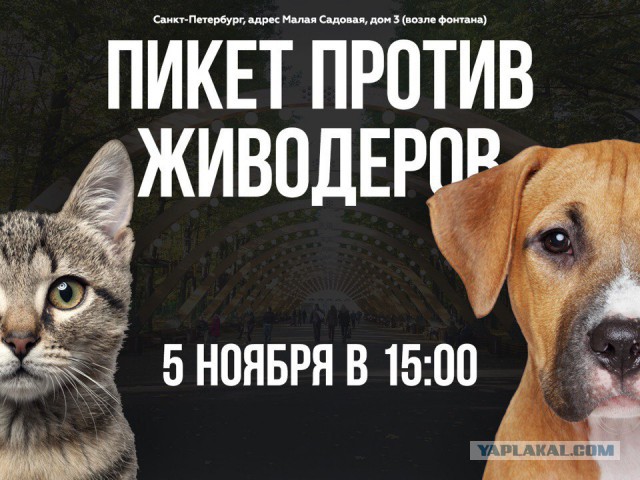 Живодерки из Хабаровска