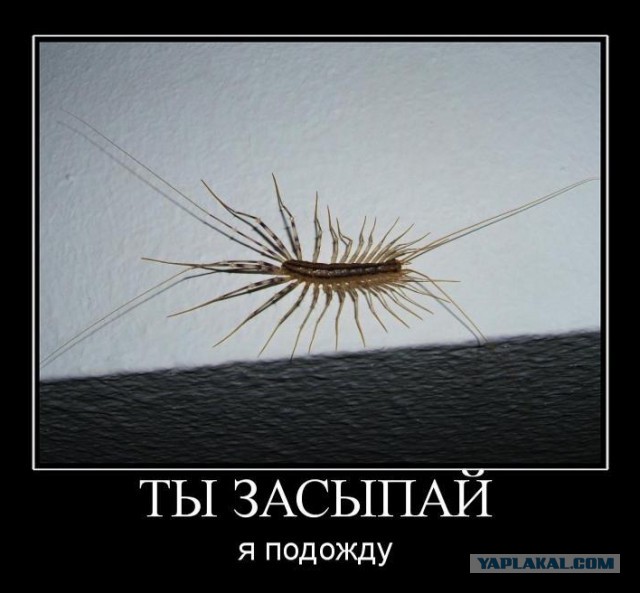 Картинки на сон грядущий