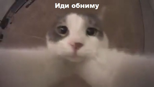 поиск попутчиков