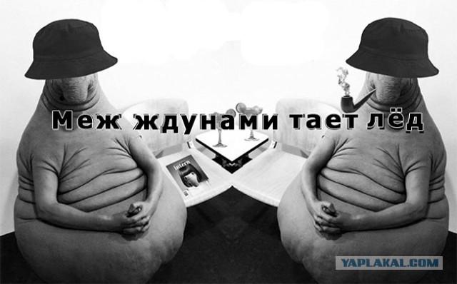 10061798.jpg