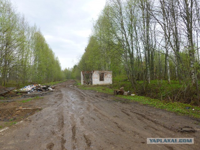 Осколки страны