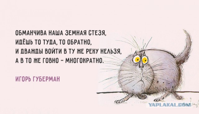 Вечерний сарказм