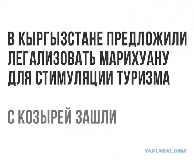 Смешные комментарии из социальных сетей 10.11.2017