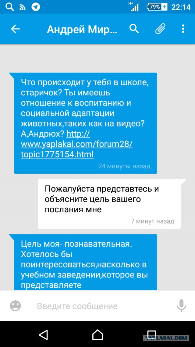 Школьницы сняли на видео, как избивали свою подругу