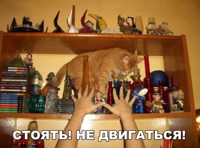 Немного милоты