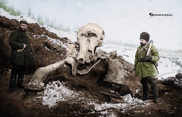 История в фотографиях