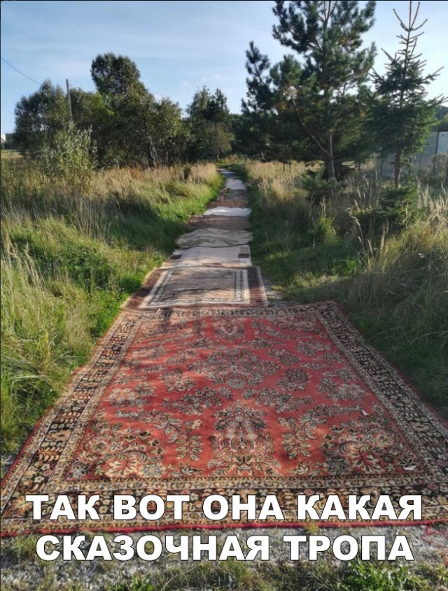 Нестандартный юмор
