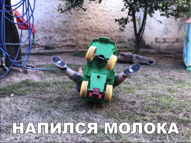 Прикольные картинки абавсём