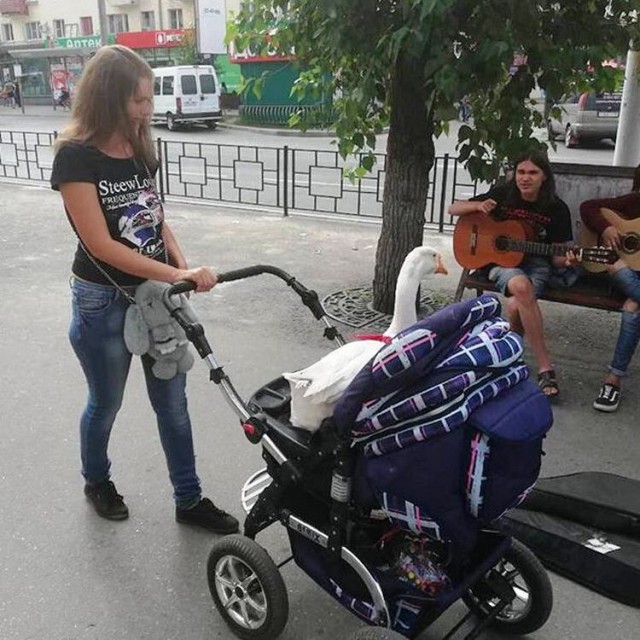 Чудики из социальных сетей