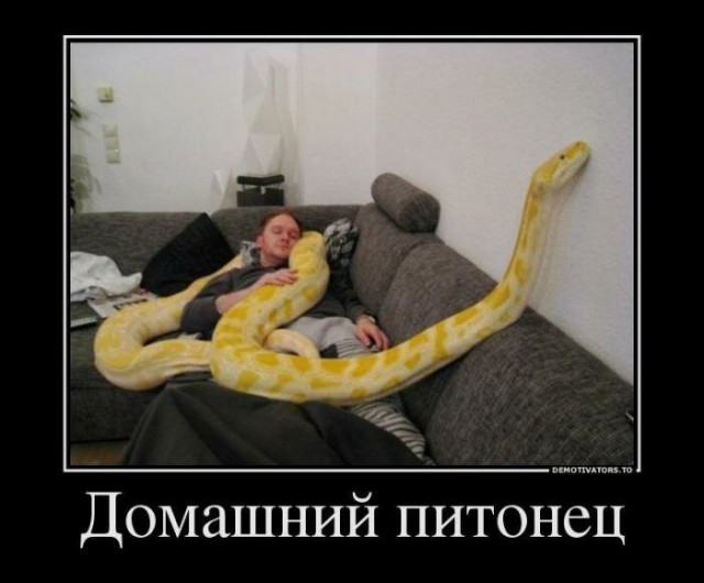Бредзона 08.02.2020