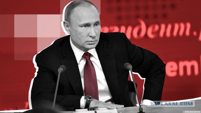 Интернет «гудит» от решения Путина продлить нерабочие дни