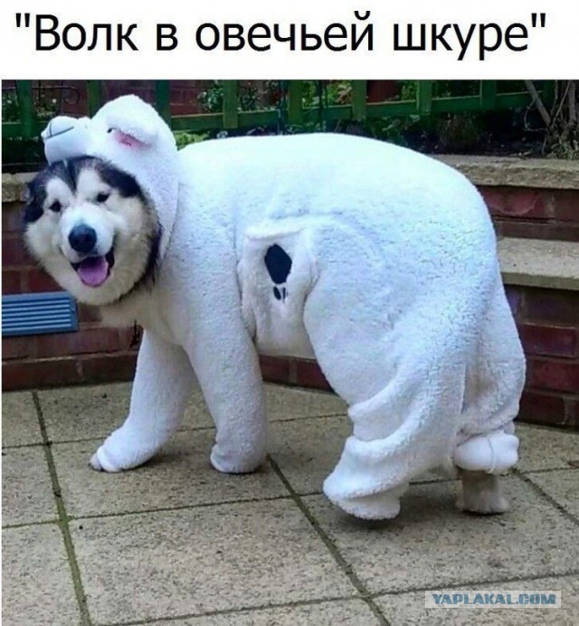 Бредзона 03.05.20