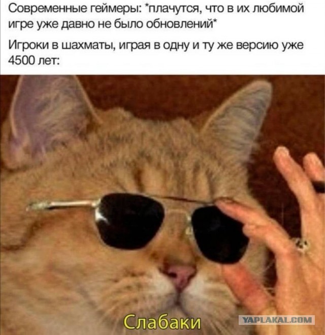 Бредзона 25.10.20