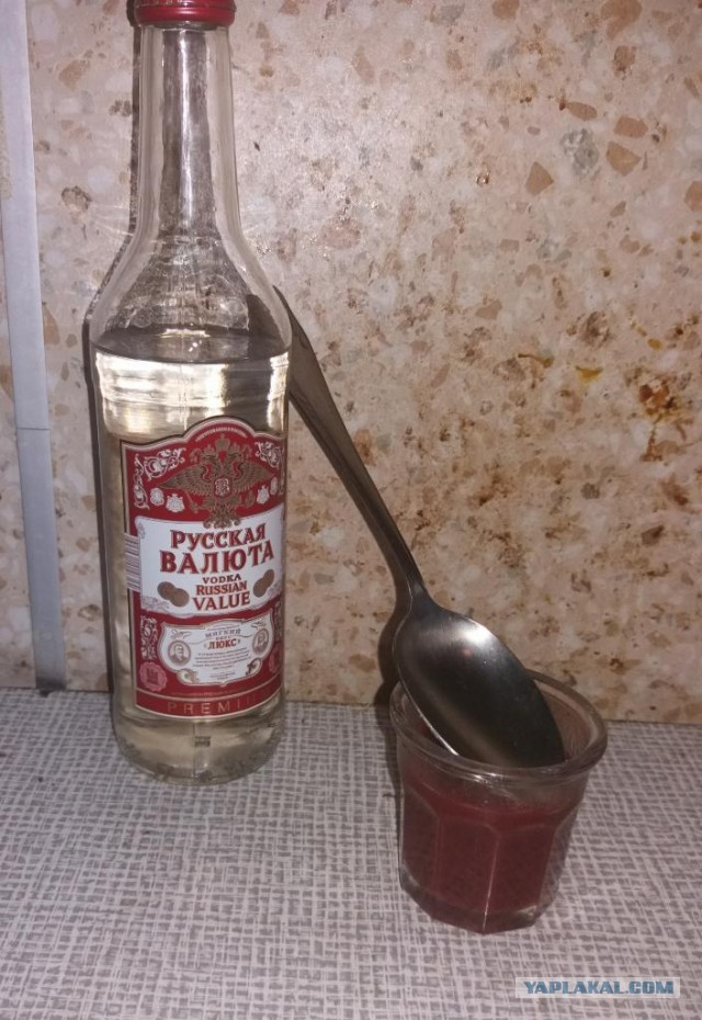 Чем лучше всего закусывать водку и как ее пить