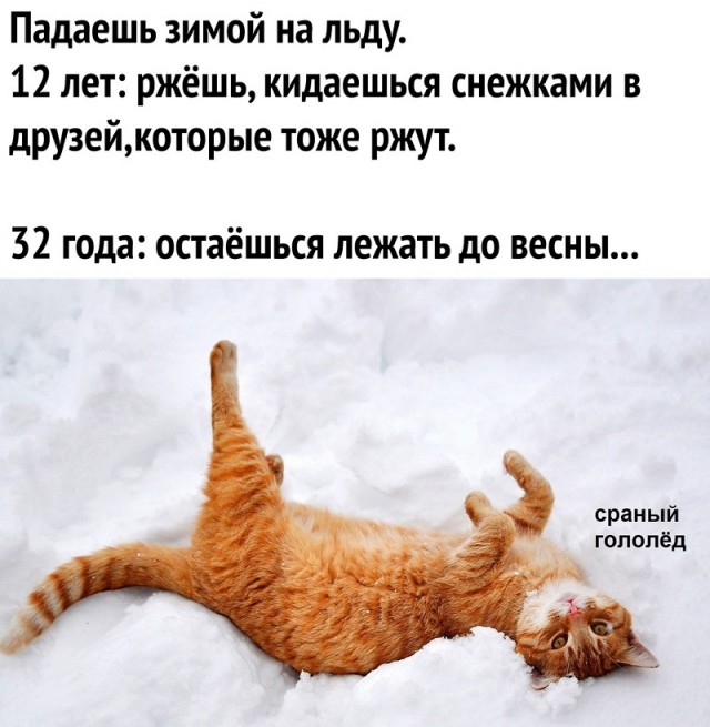 Картинки с надписями и всякие жизненные фразы