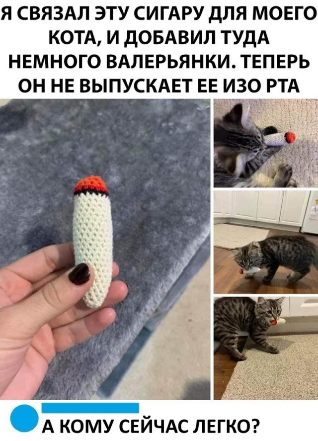 Весёлый полтишок 5.03