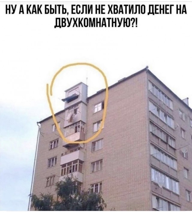 Весёлый полтишок 16.08