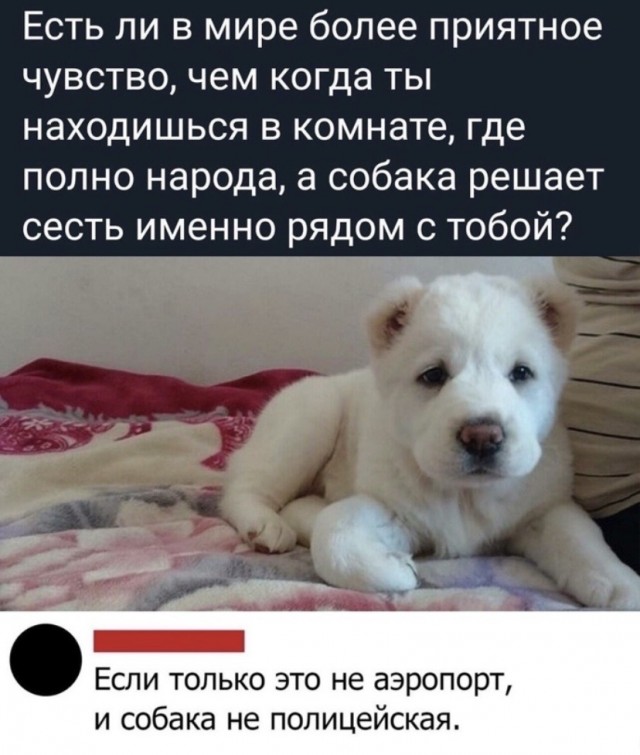 Картинки и мемы для настроения 12.10.2021