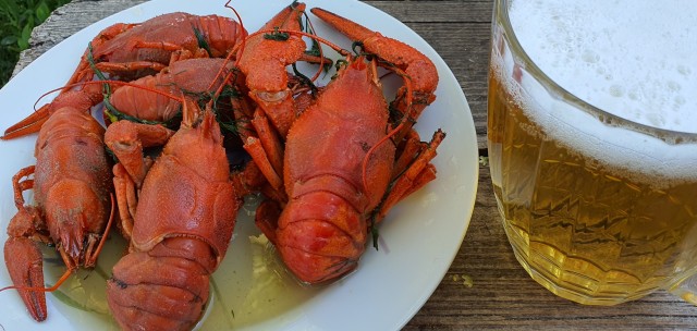 Пивной альбом. Часть вторая