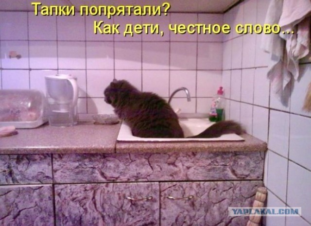 Мы остаёмся без Photoshop