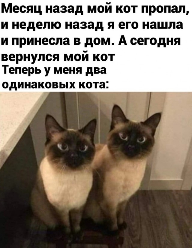 Немного картинок