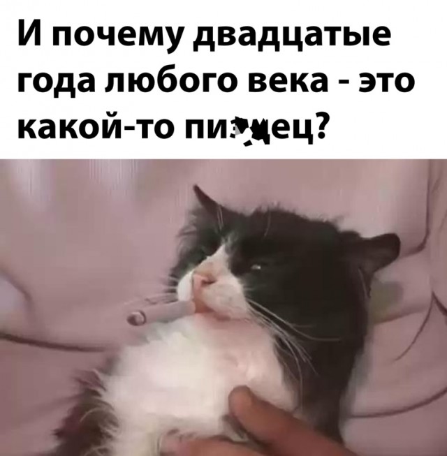 Весёлый полтишок 26.04.22