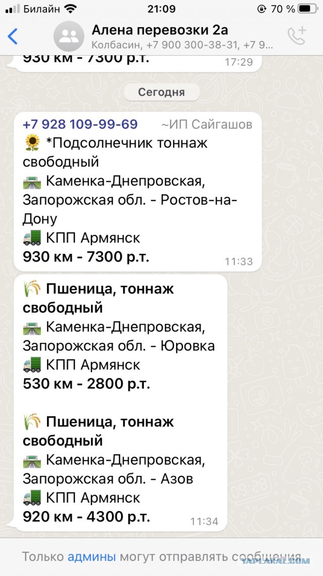 Боррель призвал договориться с Россией о вывозе пшеницы из Украины