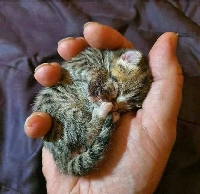 Картинки несуразные