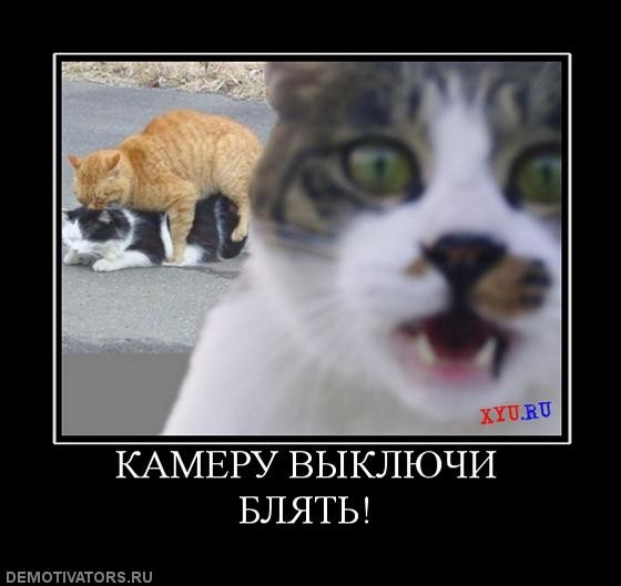 Рубрика "Баян-прибоян". Часть 2. Демотиваторы