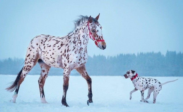 Подборка интересных и прикольных фото из Сети 24.07.22