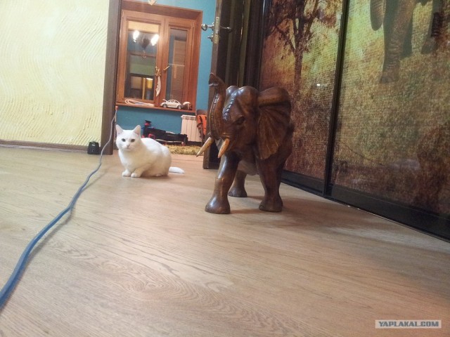 Хороший отдых