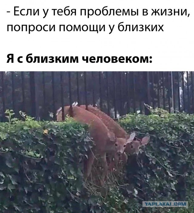 Это был тяжелый год