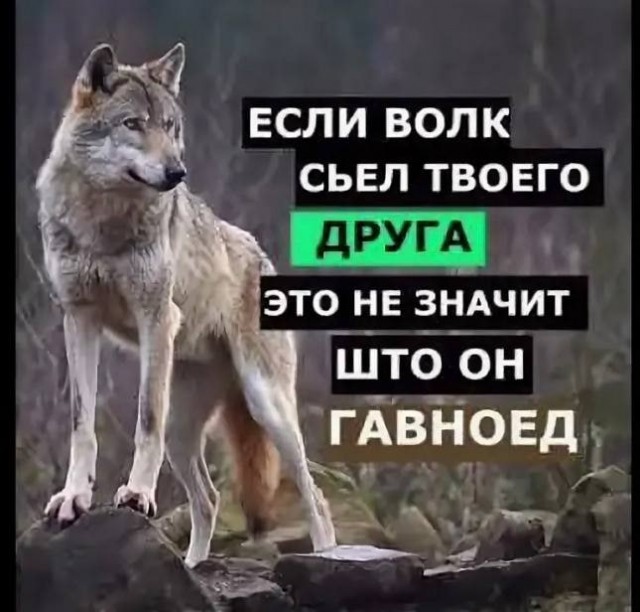 Картинки аморальные и всякие разные - 46