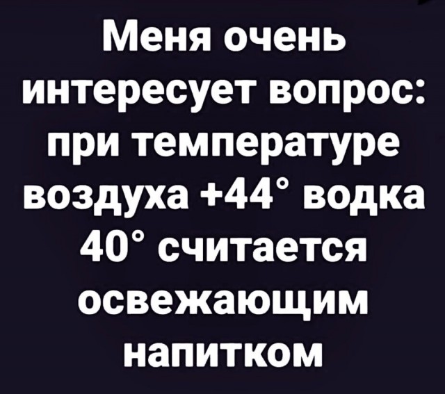 Весёлый полтишок 11.08.23