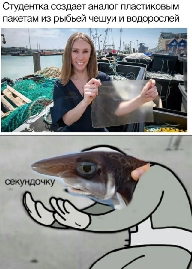 Очередной экоактивист